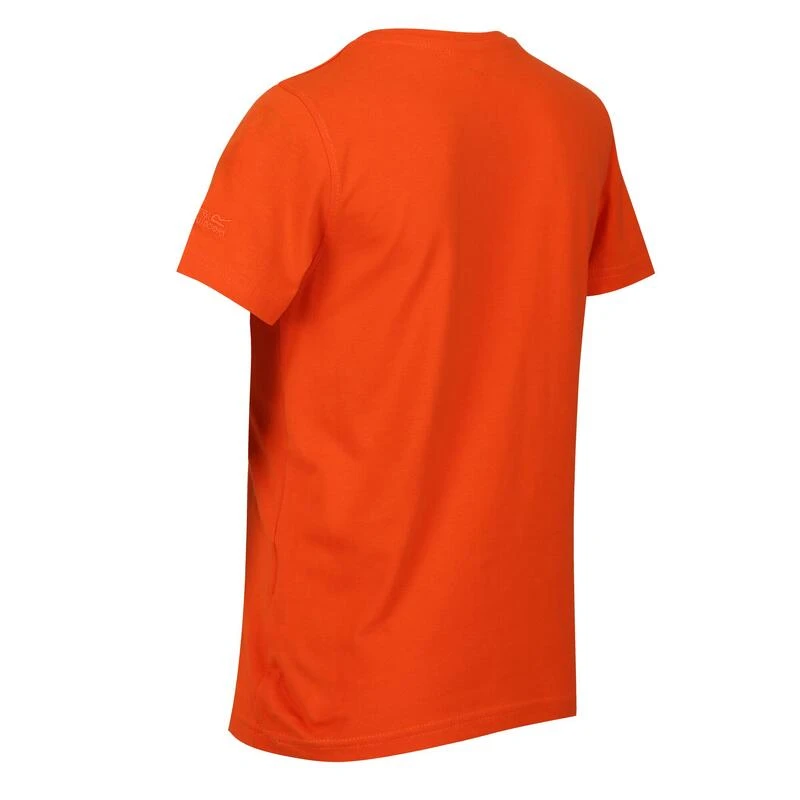 Regatta Bosley V T-shirt De Marche à Manches Courtes Pour Enfant - Orange – Image 2