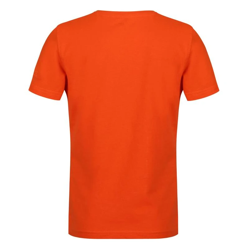 Regatta Bosley V T-shirt De Marche à Manches Courtes Pour Enfant - Orange – Image 4
