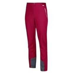 Regatta Mountain III Femme Randonnée Pantalon - Rose Foncé