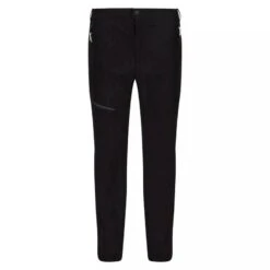 Regatta Pantalon De Randonnée HIGHTON PRO Homme (Noir)