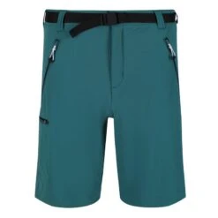 Regatta Short XERT Homme (Bleu Sarcelle)